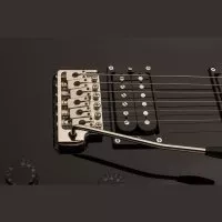PRS SE Mark Tremonti Standard (Black)