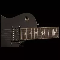 PRS SE Mark Tremonti Standard (Black)