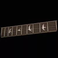 PRS SE Mark Tremonti Standard (Black)