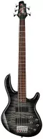 Cort Action DLX V Plus FGB