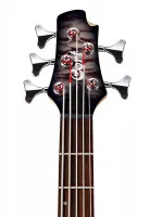 Cort Action DLX V Plus FGB