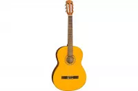Fender ESC-105