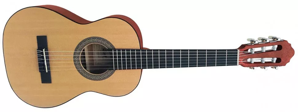 Cort AC50 OP w/bag