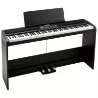 Korg XE20SP