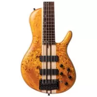 Cort A5 Plus SC (Amber Open Pore)