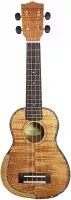 Parksons UK21MS