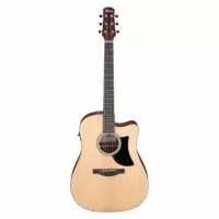 Ibanez AAD50CE-LG