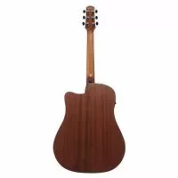 Ibanez AAD50CE-LG
