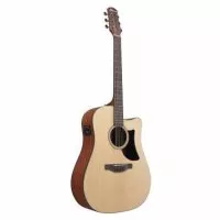 Ibanez AAD50CE-LG
