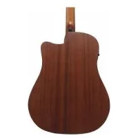 Ibanez AAD50CE-LG