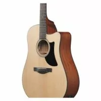 Ibanez AAD50CE-LG