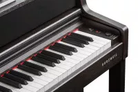 Kurzweil CUP410 SR