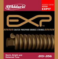 D'Addario EXP17