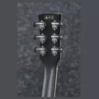 Ibanez PC14MHCE WK