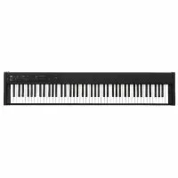 Korg D1