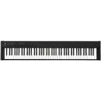 Korg D1