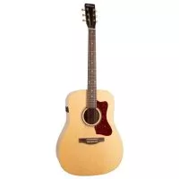 Norman B20 Natural GT Presys II