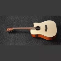 Ibanez Pf10ce Opn