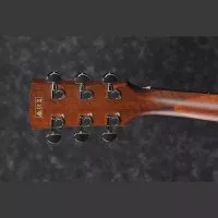 Ibanez Pf10ce Opn