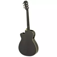 Aria AFN-15CE BK