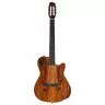 Godin ACS Nylon KOA Extreme HG