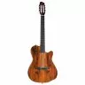 Godin ACS Nylon KOA Extreme HG
