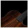 Godin ACS Nylon KOA Extreme HG
