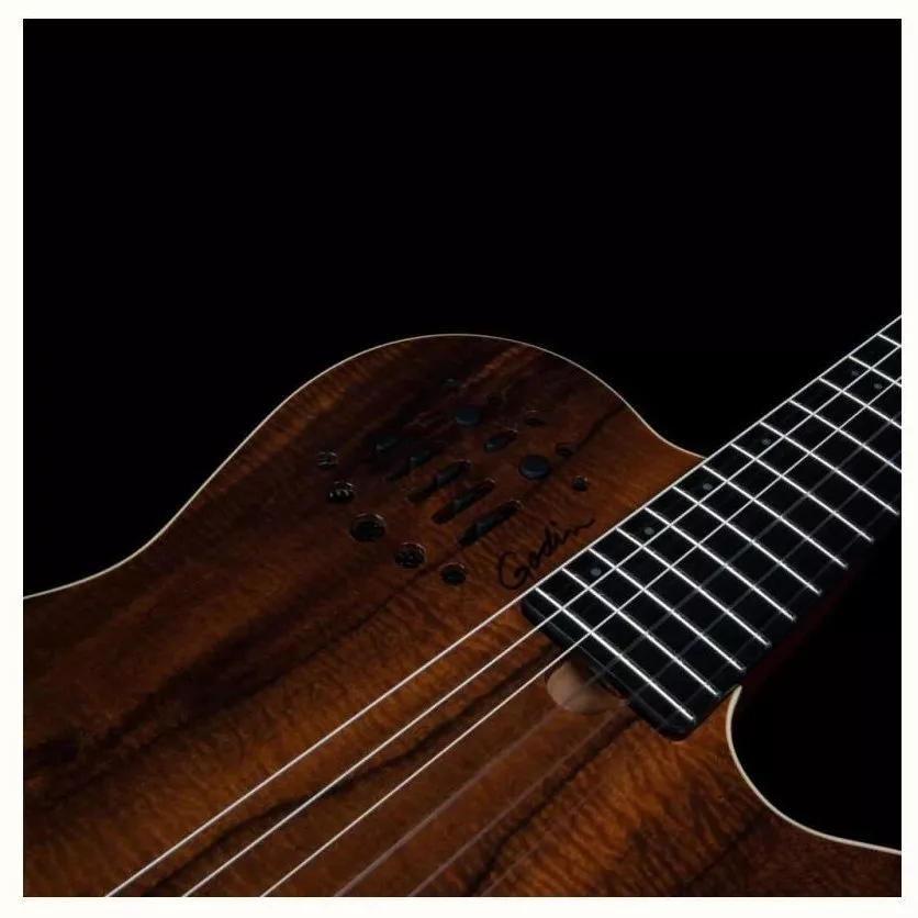 Godin ACS Nylon KOA Extreme HG