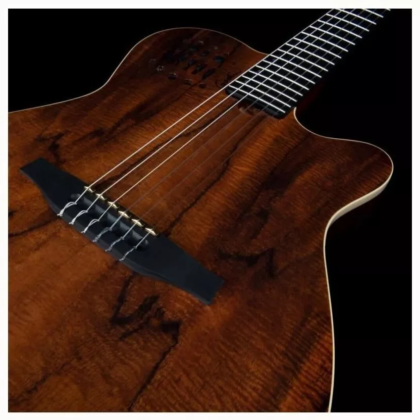 Godin ACS Nylon KOA Extreme HG
