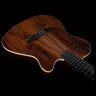 Godin ACS Nylon KOA Extreme HG