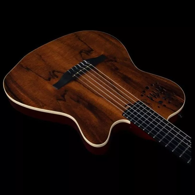 Godin ACS Nylon KOA Extreme HG