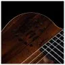 Godin ACS Nylon KOA Extreme HG