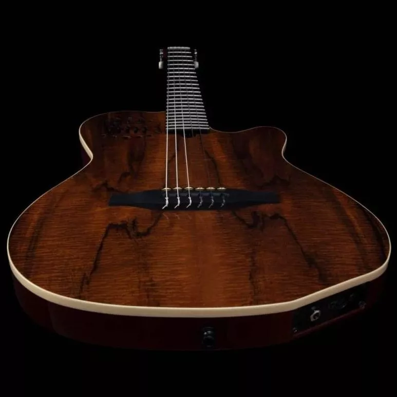 Godin ACS Nylon KOA Extreme HG