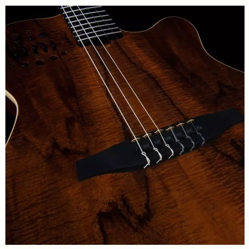 Godin ACS Nylon KOA Extreme HG