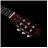 Godin ACS Nylon KOA Extreme HG