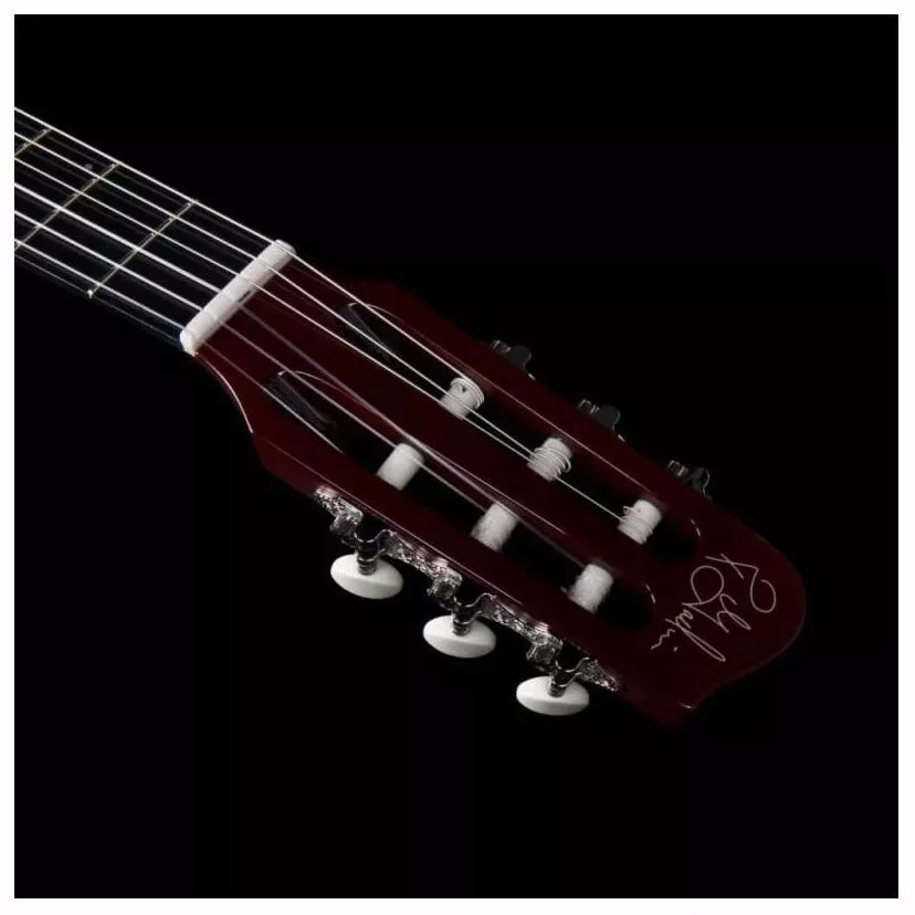 Godin ACS Nylon KOA Extreme HG