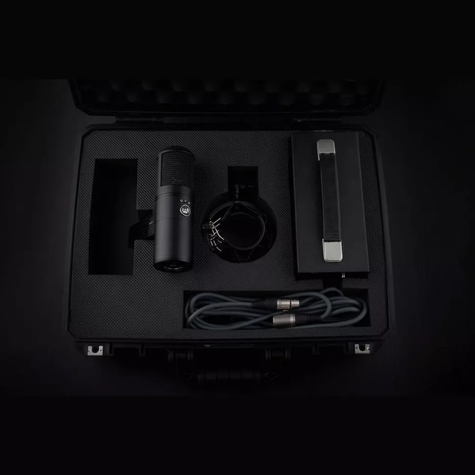 Warm Audio Wa-8000 Large Diaphragm Tube Condenser Microphone