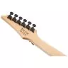 Ibanez GRG320FA-TKS