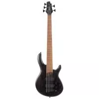 Cort B5 Element (Open Pore Trans Black)