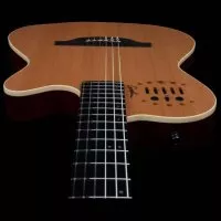 Godin ACS SLIM Nylon Natural SG