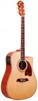 Washburn OG2 CE