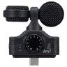 Zoom AM7