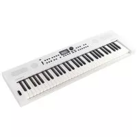 Roland GO:KEYS-5-WH