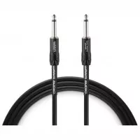 Warm Audio Pro-TS-10
