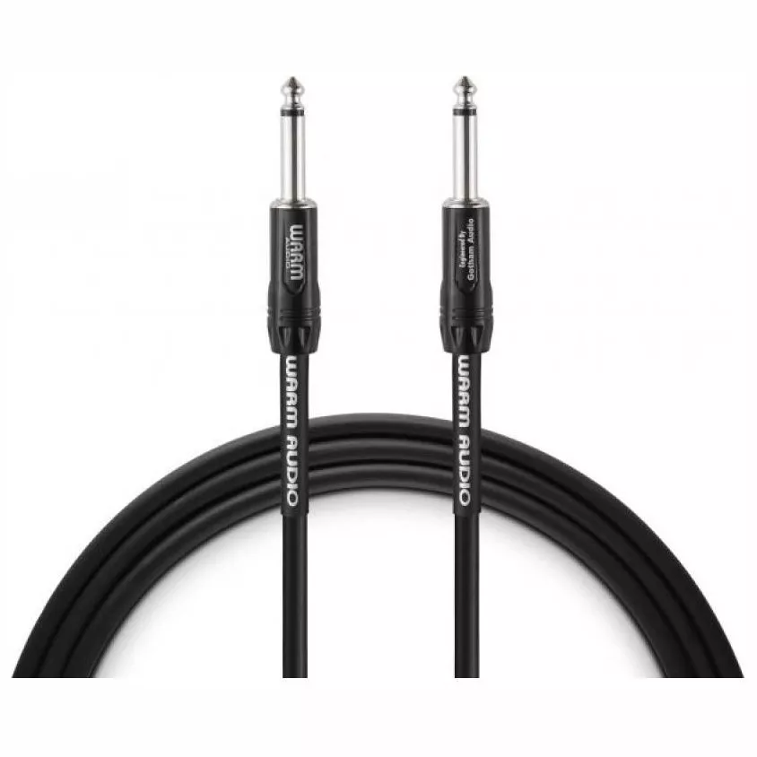 Warm Audio Pro-TS-10