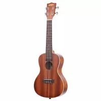 Kala Mahogany Concert With Binding