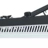 Soundking DM20