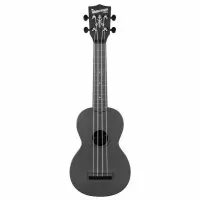 Kala Waterman Matte Black Soprano