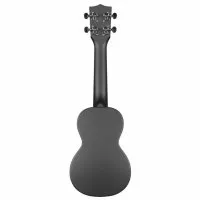 Kala Waterman Matte Seafoam Green Soprano