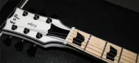 ESP E-II ECLIPSE II DB/M (SW)